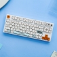 Plastic 104+49 XDA-like Profile Keycap Set Cherry MX PBT Dye-subbed for Mechanical Gaming Keyboard